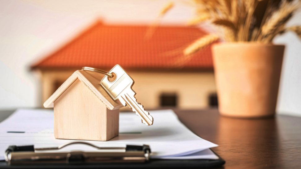Maximising Your Profits: The Ultimate Guide to Property Management in Cyprus